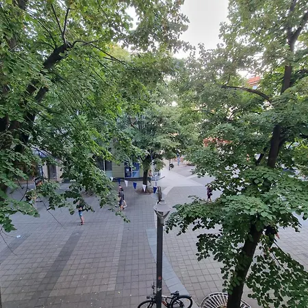 Apartament Alexandrovska - Super Centar Luxury