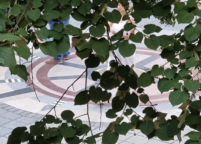 Appartamento Alexandrovska - Super Centar Luxury Burgas