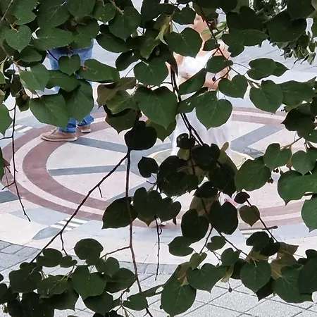 아파트 Alexandrovska - Super Centar Luxury 부르가스